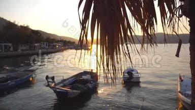 日落时<strong>分</strong>，渔船站在海滨附近的<strong>画面</strong>。 阳光透过棕榈叶照耀。 自然背景